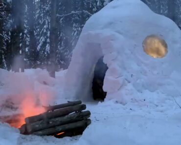 SOLO WINTER CAMPING 4 Days -( P1 )- IGLOO Build – Snow Shelter – Snowfall – Survival Rice