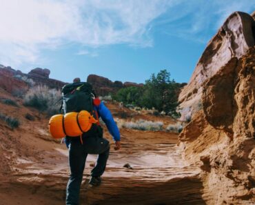 How to Survive in the Wilderness: A Few Essential Tips