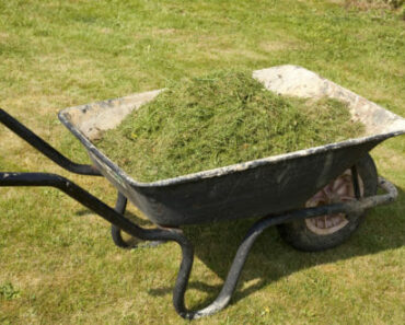 Great Summertime “Off-The-Grid” Grass Clipping Uses