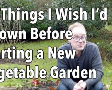 10 Things I Wish I’d Known Before Starting a New Vegetable Garden
