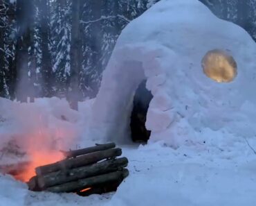 SOLO WINTER CAMPING 4 Days -(P2)- IGLOO Build – Snow Shelter – Snowfall- Survival Rice
