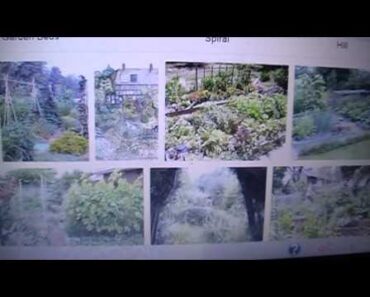The best type of survival garden