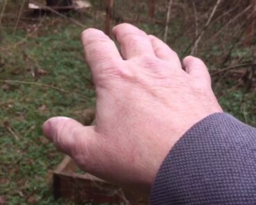 Winter wild edible survival garden!