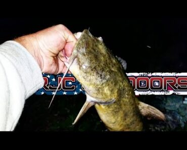 Fishing a snag for Flathead catfish through the night with zero sleep