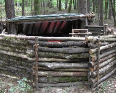Building A Super Shelter In The Woods (Part 1)