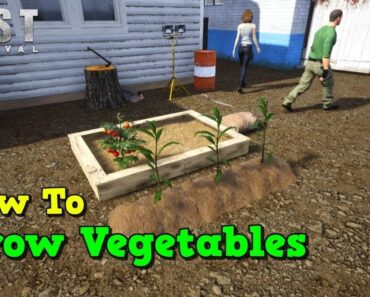 Mist Survival – How to grow vegetables