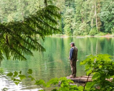 7 ideas to celebrate the Go Fishing Day