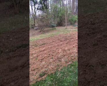 My doomsday prepper garden