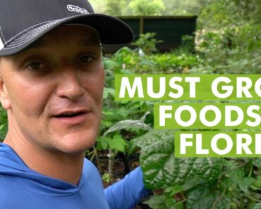 10 Top Plants for a Food Garden in Subtropical Climates- Florida Gardening