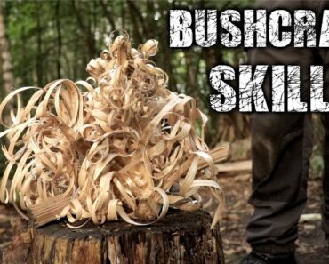 Bushcraft Skills – Axe & Knife Skills, Camp Setup, Fire (Overnight Camping)