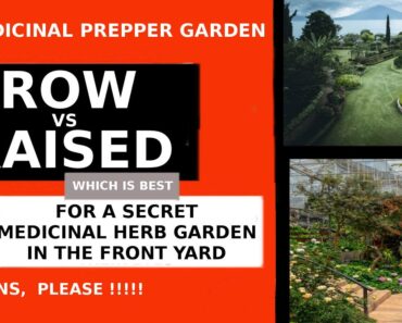 #1 Medicinal Prepper Garden – Row vs Raised Debate – Sr2Sr-Prepper asks Are You Row, Raised, or Both