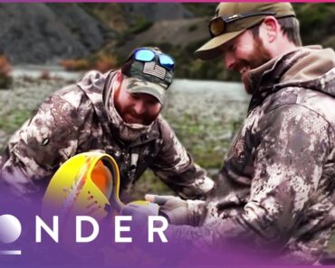 These Men Must Survive Stranded In The Middle Of New Zealand | Dropped S2 EP1 | Wonder