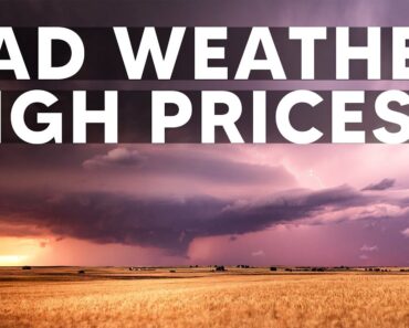 Could DROUGHT and FLOODS Be the Reason Why Banks Are Preparing For A SELLOFF?
