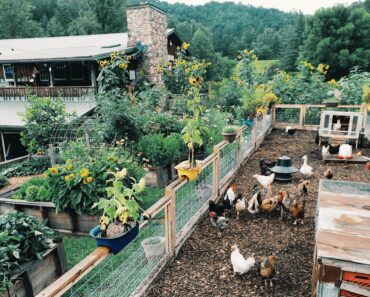 Our 10-Acre Survival Homestead (2020 PROOF)