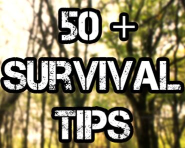 50+ Wilderness Survival Tips!