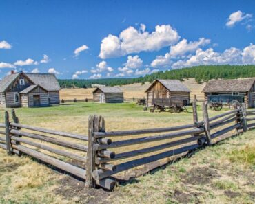 Ten tips for the urban homesteader