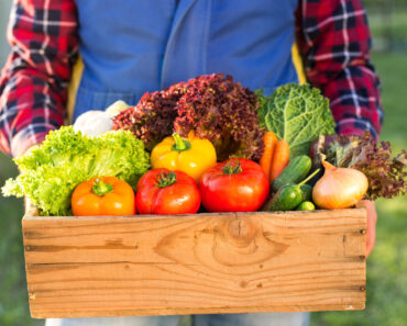 Gardening: Tips For Growing Plants, Fruits, and Vegetables