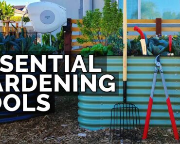12 Essential Gardening Tools for Beginner and Advanced Gardeners