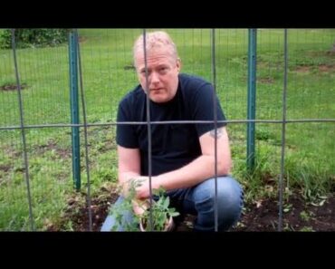 Survival Garden 2011