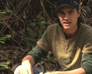 Basic Wilderness Survival Skills : Wilderness Survival: Safe Drinking Water