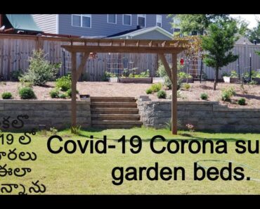 😷  PLANTED Covid-19 Survival Garden/ESSENTIAL LEAFY GREENS GARDEN😷 ||USA||Siri garden and More!