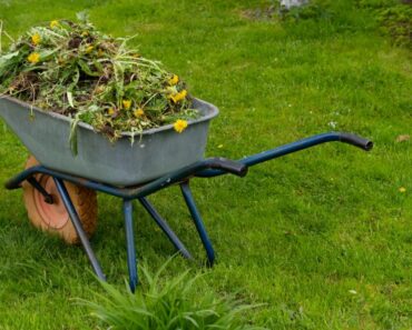 Top recycling tips for the garden