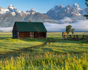 How to Turn Your Home into a Homestead
