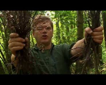 Ray Mears – How to Light a Fire, Bushcraft Survival