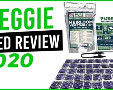 Vegetable Seed Review- Heirloom Vegetable Seeds- 40 seed packets