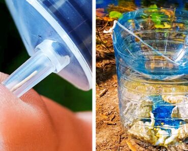 24 IMPORTANT TRICKS TO SURVIVE IN THE WOODS