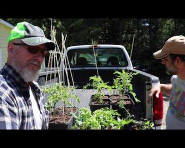 Prepper Garden Rescue Part 1 – With Author Austin Chambers