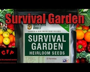 Open Seed Vault Survival Garden Review