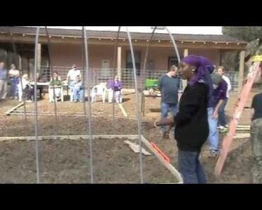 How to Build a Greenhouse for Under $100 Part 3 of 3 | Golden Acres Ranch Florida | FAMU