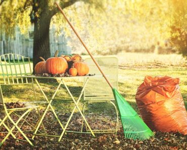 It’s Fall, Time to Start Gardening