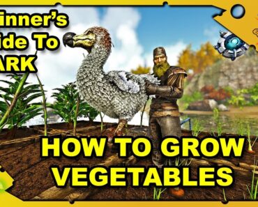 How to Get Started in ARK – A Beginners Guide How To Grow Vegetables – Ark: Survival Evolved [S4E6]