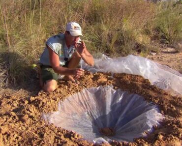 Emergency Water Source – Evaporating with a Solar Still: Survival Tip ► All 4 Adventure TV