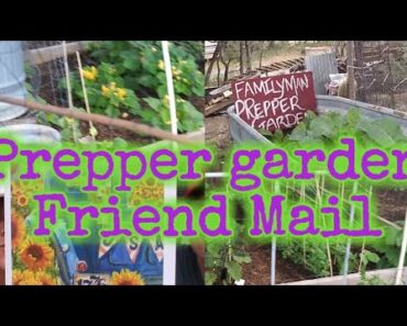 Prepper friend mail/Prepper garden update