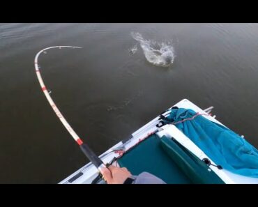 Trout and Redfish Fishing till Night