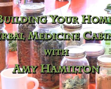 Building Your Home Herbal Medicine Cabinet with Amy Hamilton