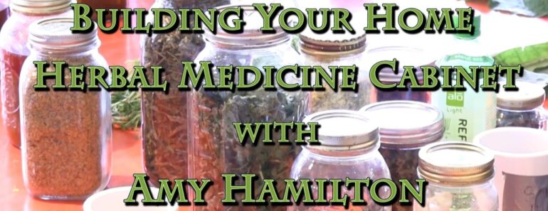 Building Your Home Herbal Medicine Cabinet with Amy Hamilton Building Your Home Herbal Medicine Cabinet with Amy Hamilton