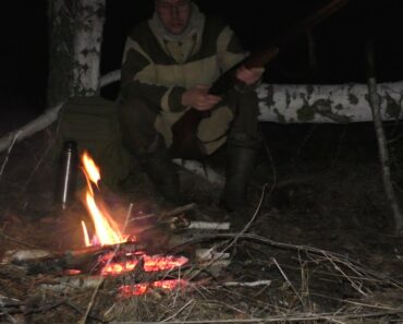 Solo bushcraft with dogs. Winter campfire overnight. Hike and survive 24 hours in the snow.
