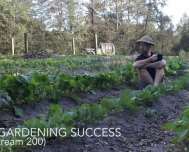 Row Gardening Success (Goodstream #200)
