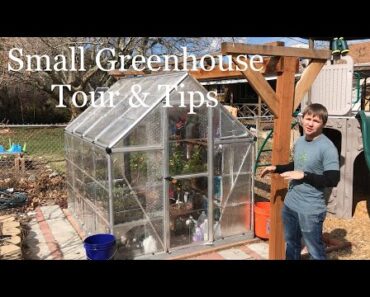 Small Greenhouse Tour & Tips