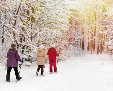 Healthy Aging: Benefits Of Daily Exercises For Elders