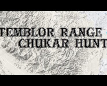Temblor Range Chukar Hunt Temblor Range Chukar Hunt