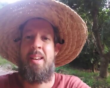 Survival Gardener Minute #001: Grains vs. Tubers as a Survival Crop Survival Gardener Minute #001: Grains vs. Tubers as a Survival Crop