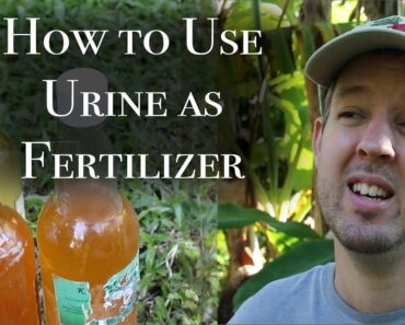 How To Use Urine as Fertilizer: a Grid-down Survival Tip (Day 22 of 30)