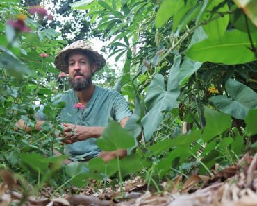 Vertical Gardening The Permaculture Way (No Trellises Required!)