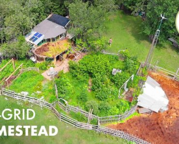 12 YEARS Living Off-Grid on a Sustainable Homestead in a Self-Built Cob Home