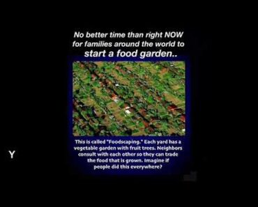 Plant A Food Garden. Fruit, Vegetables, Herbs, Etc. Survival And Prepper.
